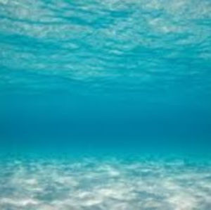 Meet your Posher, Yanyan